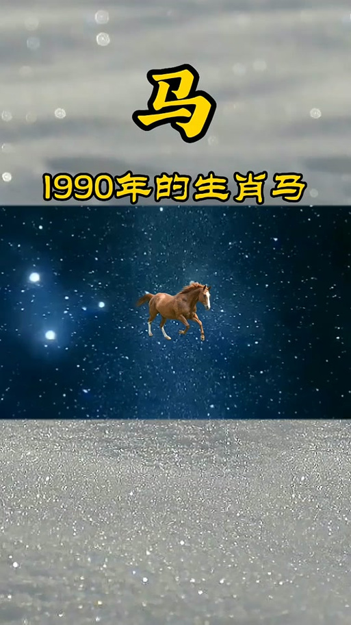 合作伙伴 第8页