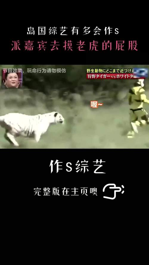 新澳门2025年正版免费和摸老虎屁股遭扑咬与摸老虎屁股遭扑咬视频